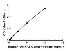 Novus Biologicals&trade;&nbsp;Human Annexin A6 ELISA Kit (Colorimetric)